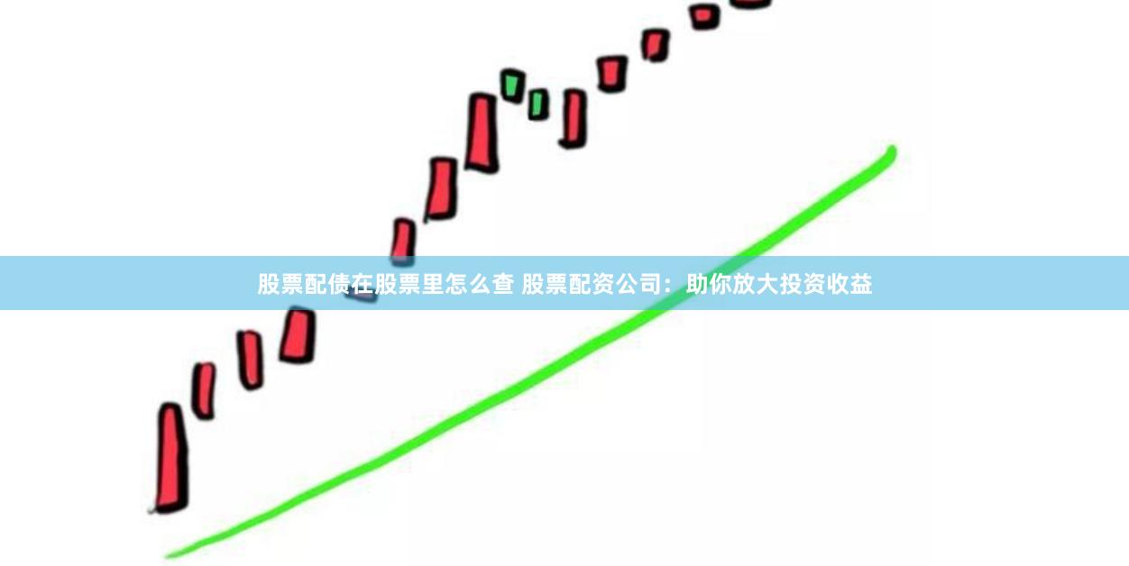 股票配债在股票里怎么查 股票配资公司：助你放大投资收益