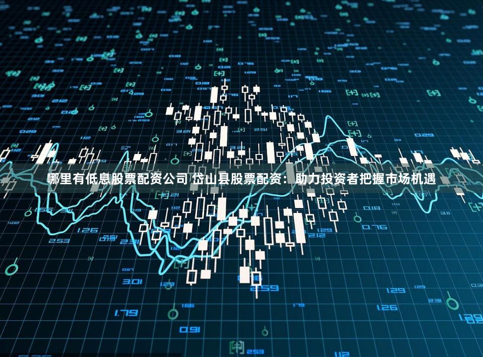 哪里有低息股票配资公司 岱山县股票配资：助力投资者把握市场机遇