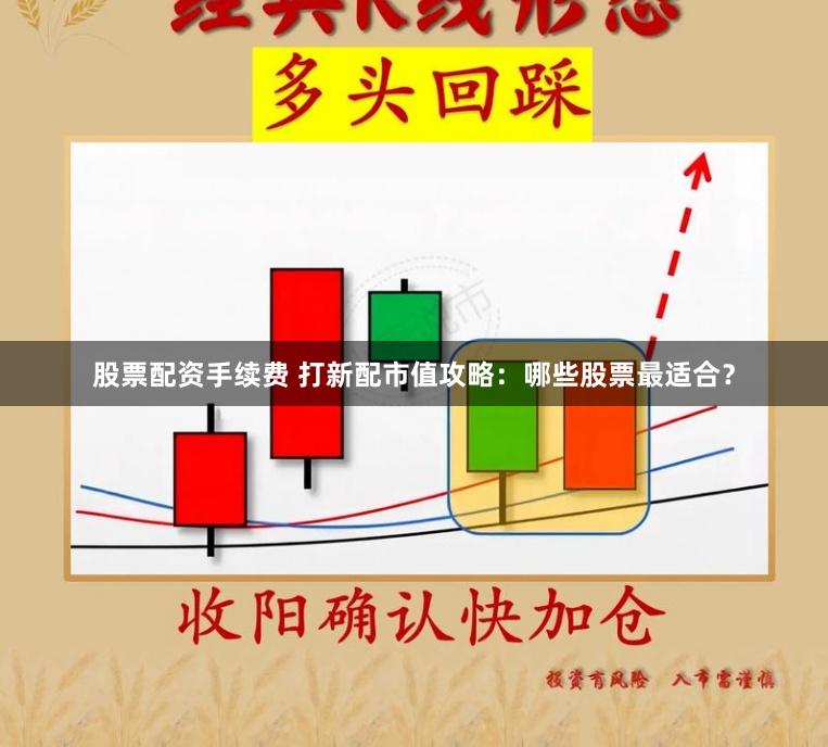 股票配资手续费 打新配市值攻略：哪些股票最适合？