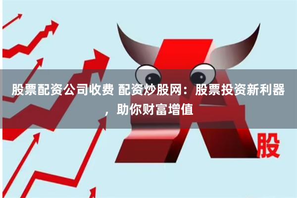 股票配资公司收费 配资炒股网：股票投资新利器，助你财富增值